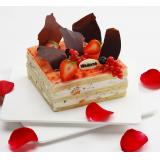 挚爱玫瑰 beloved rose